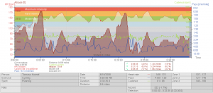 train_session